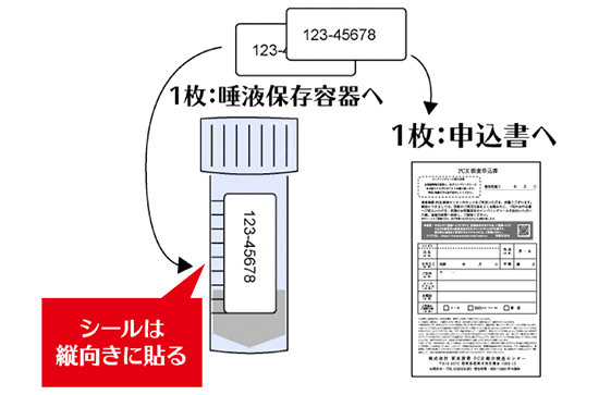 やり方 pcr 検査 唾液