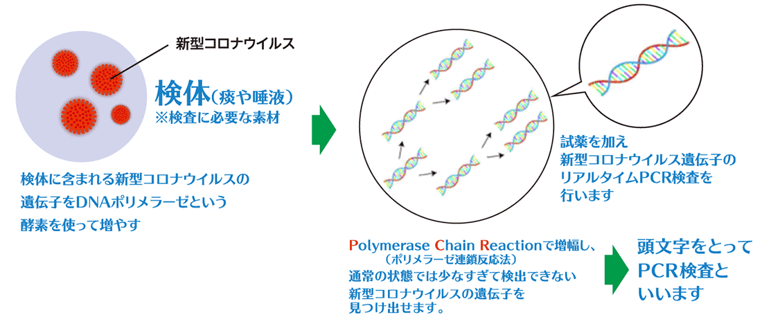 検査の流れ