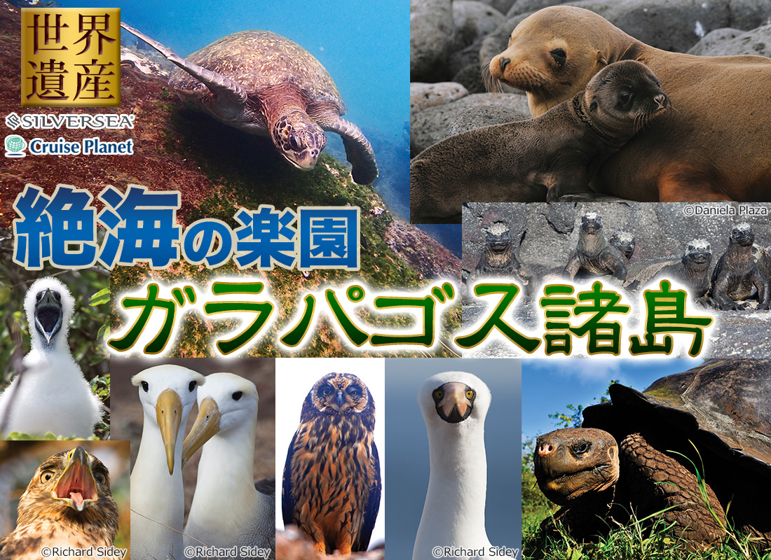 ガラパゴス諸島