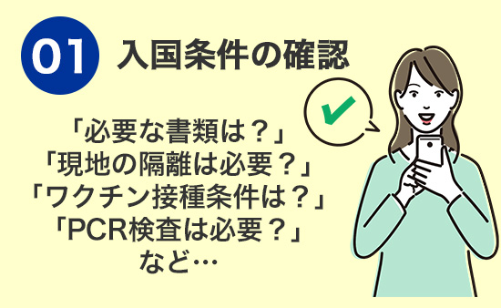 入国条件の確認