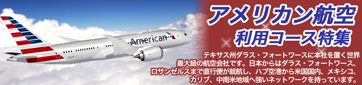 アメリカン航空利用コース特集