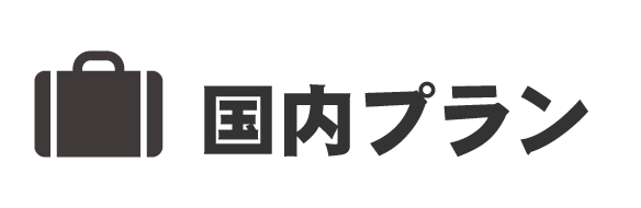 国内プラン